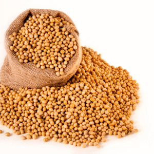 Mustard Seeds